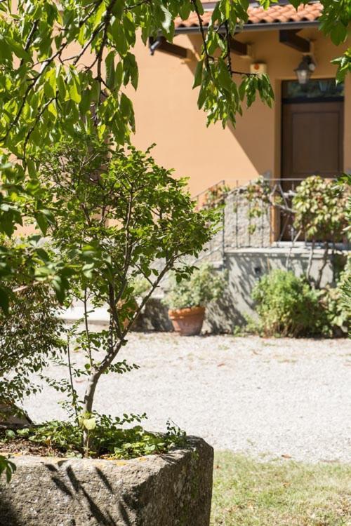 B&B Murolungo San Lazzaro di Savena Zewnętrze zdjęcie
